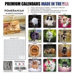 Pomeranian Dog Breed Calendar 2025 FULL SIZE 12×24 Made in USA