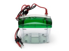 Bio-Rad Mini-PROTEAN Tetra Cell Electrophoresis System w/ Mini Trans-Blot