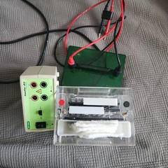 Bio-Rad Min Trans-Blot Cell 153BR & PowerPac JR II power supply