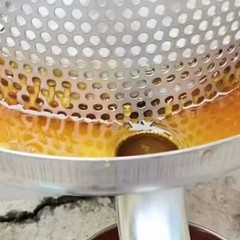 Honey Press Extractor Beekeeping Manual Stainless Steel Honey Press Machine Tool