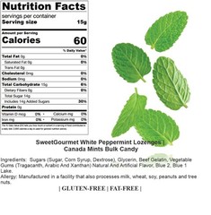 SweetGourmet White Peppermint Lozenges | Canada Mints Bulk Candy | 3 Pounds