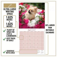 Pomeranian Dog Breed Calendar 2025 FULL SIZE 12×24 Made in USA