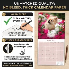 Pomeranian Dog Breed Calendar 2025 FULL SIZE 12×24 Made in USA