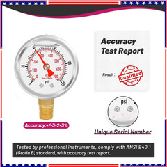 0-100 PSI/kPa Water Pressure Gauge, Glycerin Filled,psi Gauge