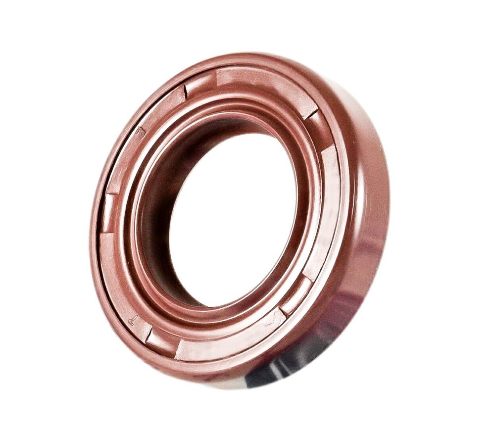 EAI 20x30x4mm FPM/FKM Oil Shaft Rotary Seal w/ Stainless Steel Spring Dbl Lip