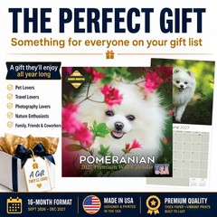 Pomeranian Dog Breed Calendar 2025 FULL SIZE 12×24 Made in USA