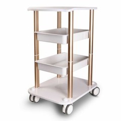 Beauty Salon Trolley Esthetician SPA Equipment Storage Stand Trolley Cart 360??