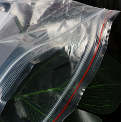 Clear PE Zip-lock Bags Plastic Grip Self Seal Resealable Food Grade Storage Bags