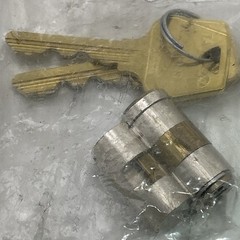 Sargent Assa Abloy Removable Core Large Format Cam Cylinder DG1 W/2keys