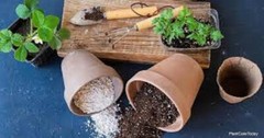 PERLITE 2 gallons MEDIUM COURSE (FAST SHIP) NURSERY GARDEN PLANTS SEED STARTING