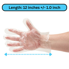 10000 Pcs, X-Large 1.5 Mil High-Density Polyethylene Disposable Gloves – Clear