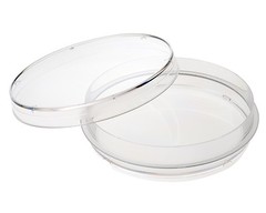 CELLTREAT 100mm x 15mm Petri Dish w/Grip Ring, 500/Case, Sterile, #229693