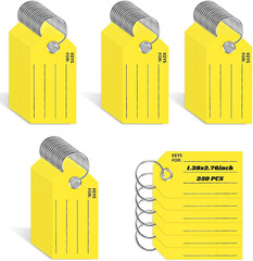 250 Pcs Yellow Key Tags with Labels and Rings: 1.38 X 2.76 Inches, 250 Labels, C