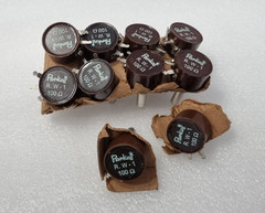 Pankaj R.W-1 Potentiometer OHMS 100 – Lot of 10PCs