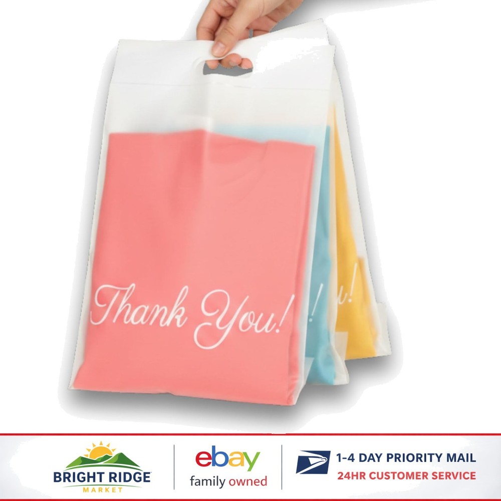 100 Count Frosted Mailers 10×13 with Built-In Handle for Events and Shipping