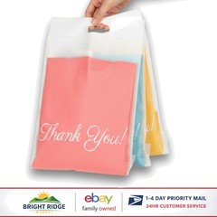 100 Count Frosted Mailers 10×13 with Built-In Handle for Events and Shipping