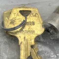 Sargent Assa Abloy Removable Core Large Format Cam Cylinder DG1 W/2keys