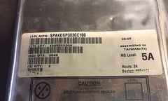 Motorola SPAKDSP303GC100 IC (2pcs =1 lot)