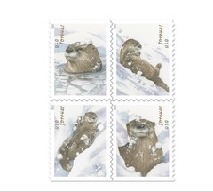 United States Postal Service Usps 2021 Otters In Snow Forever First Class
