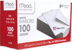 White Security Envelopes 100 Count 6 3/4 inch Gummed Closure for Letters